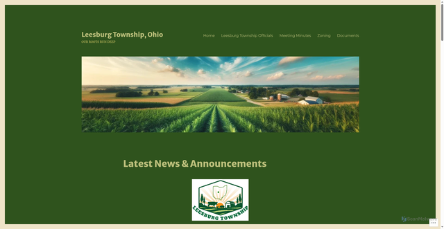 Security scan screenshot of https://leesburgtownshipoh.com/