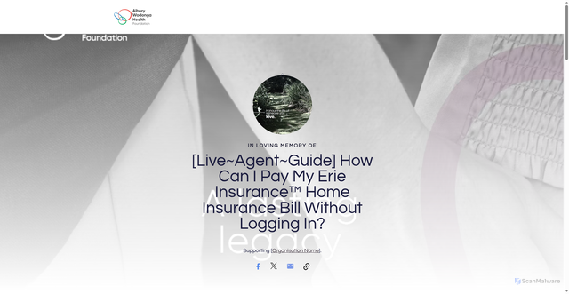 Security scan screenshot of https://donate-in-memory-awh.raiselysite.com/liveagentguide-how-can-i-pay-my-erie-insurance-home-insurance-bill-without-logging-in