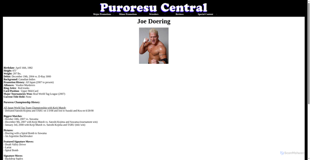 Security scan screenshot of http://puroresucentral.com/doering.html