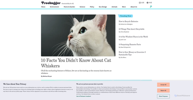 Security scan screenshot of https://treehugger.com