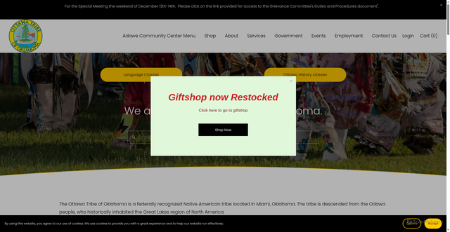 Security scan screenshot of https://www.ottawatribe.gov/
