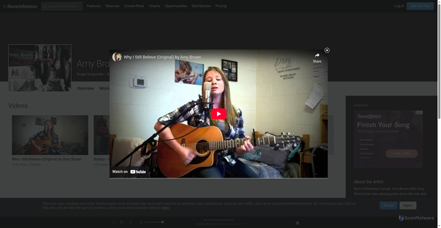 Security scan screenshot of https://www.reverbnation.com/artist/video/10477843