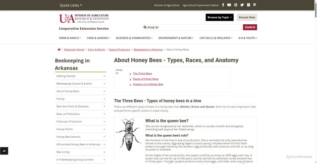 Security scan screenshot of https://www.uaex.uada.edu/farm-ranch/special-programs/beekeeping/about-honey-bees.aspx