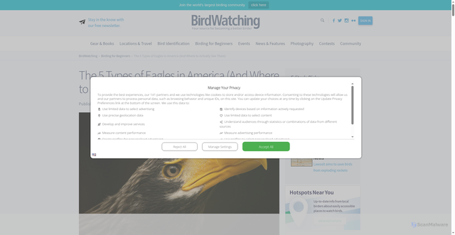 Security scan screenshot of https://www.birdwatchingdaily.com/beginners/birding-faq/5-types-of-eagles-in-america-and-where-to-see-them/