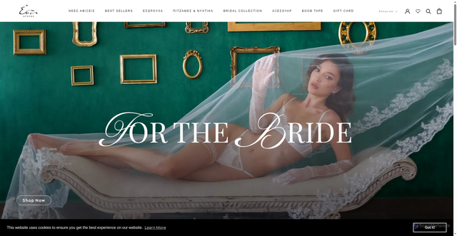 Security scan screenshot of https://estiathens.com