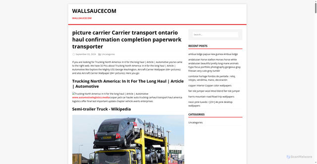 Security scan screenshot of https://wallsaucecom.pages.dev/post/picture-carrier/