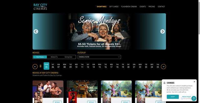 Security scan screenshot of https://www.baycitycinemas.com/