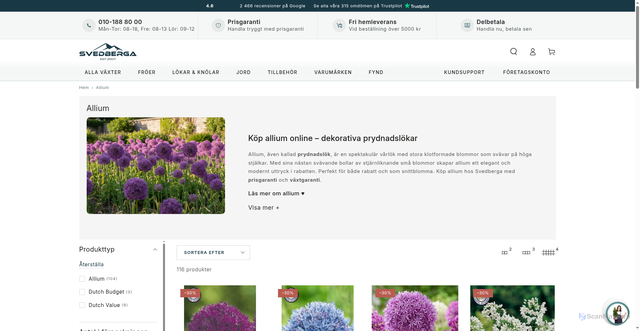 Security scan screenshot of https://svedberga.com/collections/allium?syclid=daooiq3gmhss73bdlchg