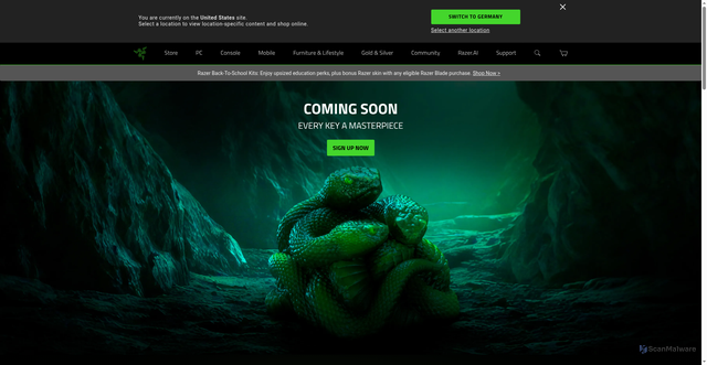 Security scan screenshot of https://www.razer.com