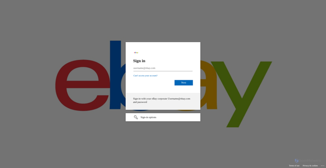 Security scan screenshot of https://hubpassport.corp.ebay.com