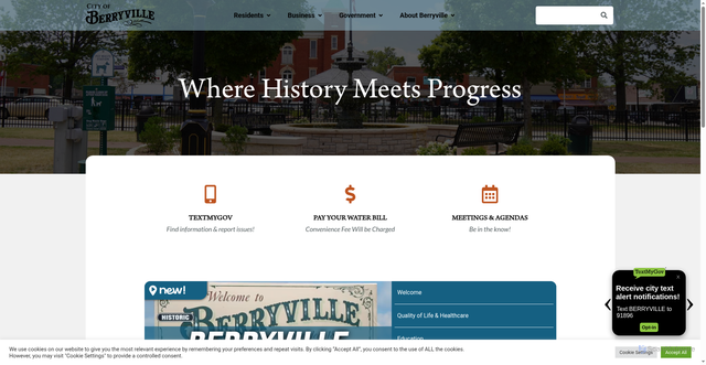 Security scan screenshot of https://berryvillear.gov/