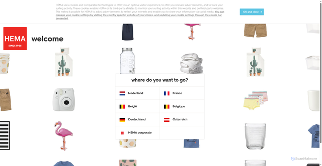 Security scan screenshot of https://hema.com