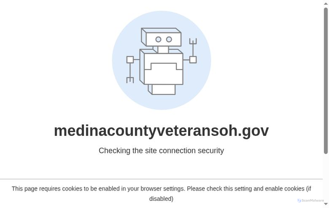 Security scan screenshot of https://medinacountyveteransoh.gov/