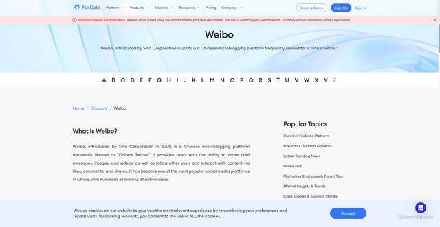 Security scan screenshot of https://foxdata.com/en/glossary/weibo/