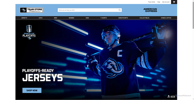 Security scan screenshot of https://www.mammothteamstore.com/