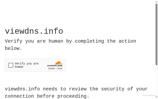 Security scan screenshot of https://viewdns.info/