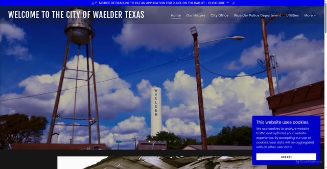 Security scan screenshot of https://waeldertexas.gov/