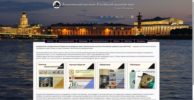 Security scan screenshot of https://zin.ru