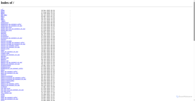 Security scan screenshot of https://mirror.ip-connect.vn.ua