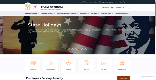 Security scan screenshot of https://team.georgia.gov/