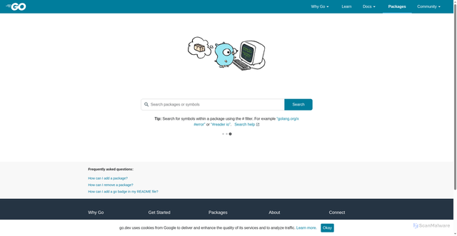 Security scan screenshot of https://pkg.go.dev