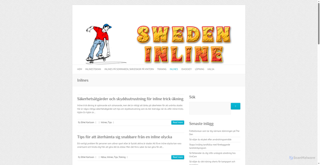 Security scan screenshot of https://swedeninline.com/category/inlines/
