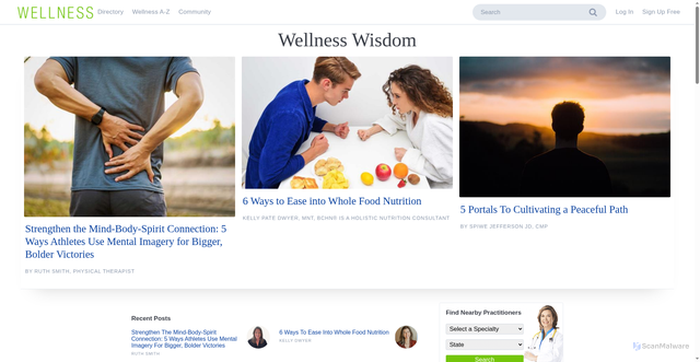 Security scan screenshot of https://www.wellness.com