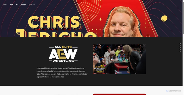 Security scan screenshot of https://www.chrisjericho.com/