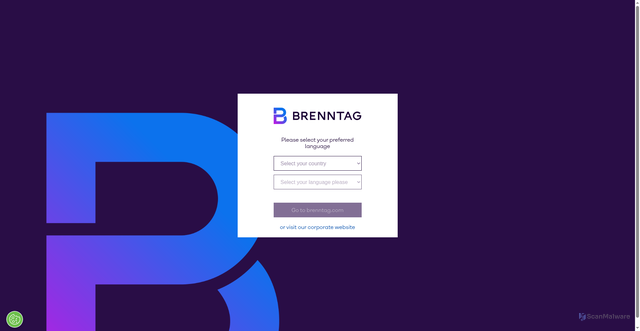 Security scan screenshot of https://www.brenntag.com