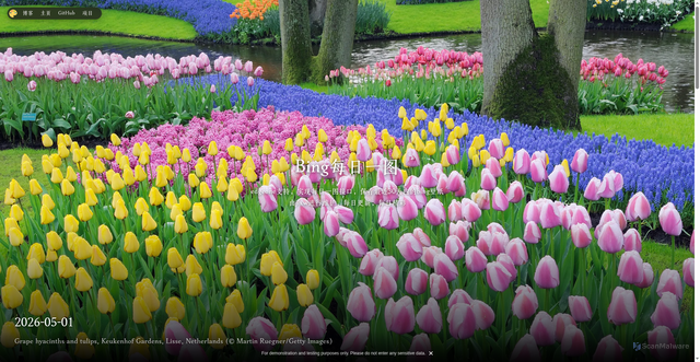 Security scan screenshot of https://bing-image-8tw4sm2uux.edgeone.dev/