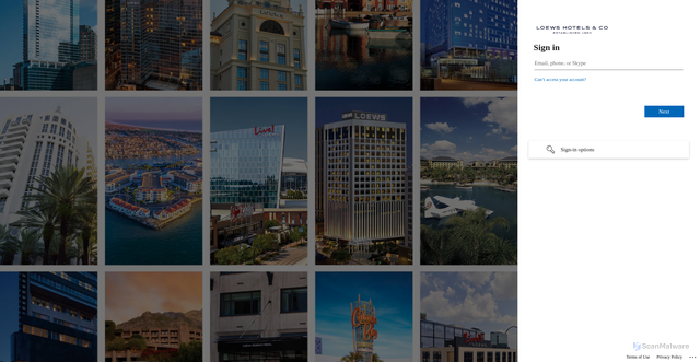 Security scan screenshot of https://loewshotels.my.salesforce.com