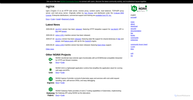 Security scan screenshot of https://nginx.org/