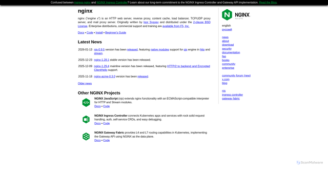 Security scan screenshot of https://nginx.org
