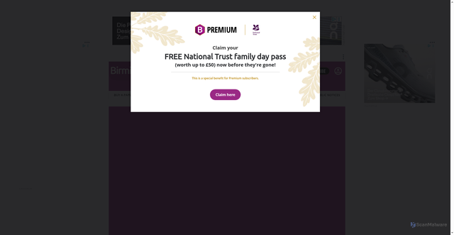 Security scan screenshot of https://birminghammail.co.uk