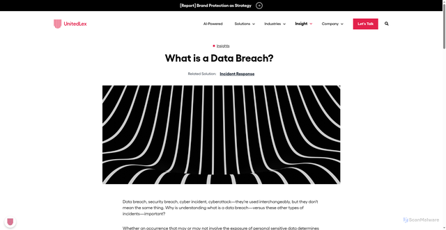 Security scan screenshot of https://unitedlex.com/insights/what-is-a-data-breach/