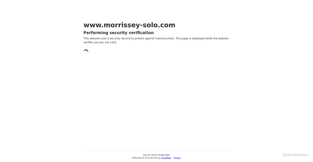 Security scan screenshot of https://www.morrissey-solo.com/wiki/Paul_Bettany