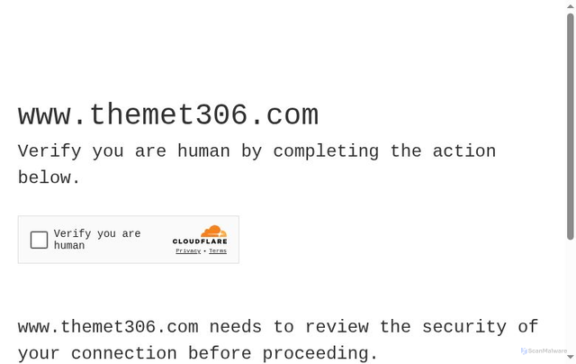 Security scan screenshot of https://www.themet306.com/