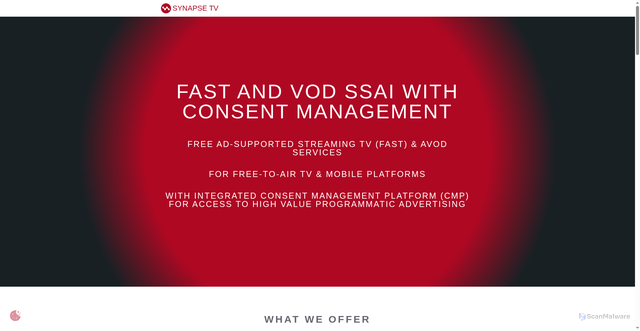 Security scan screenshot of https://synapsetv.com