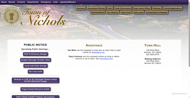 Security scan screenshot of https://townofnicholsny.gov/
