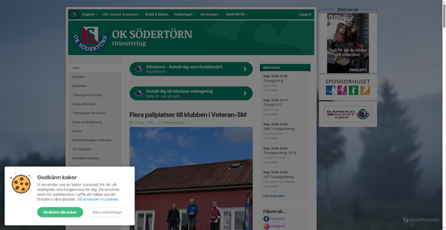 Security scan screenshot of https://xn--oksdertrn-27ae.se
