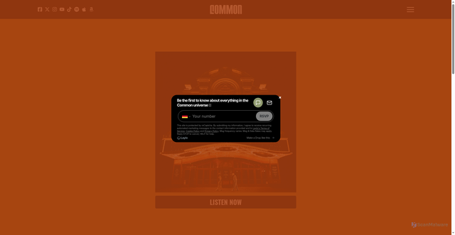 Security scan screenshot of https://www.thinkcommon.com/