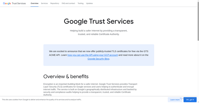 Security scan screenshot of https://pki.goog/