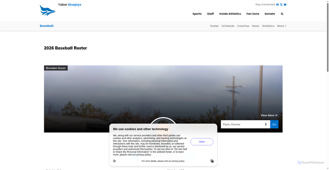 Security scan screenshot of https://taborbluejays.com/sports/baseball/roster/connor-flynn/8330