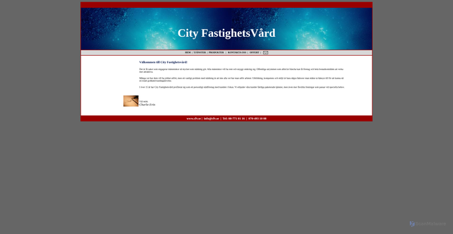Security scan screenshot of https://cfv.se
