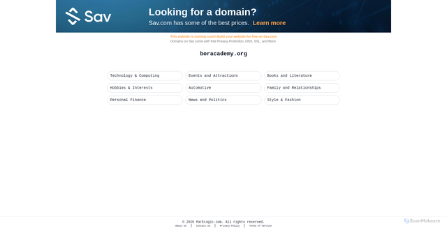 Security scan screenshot of http://www.boracademy.org