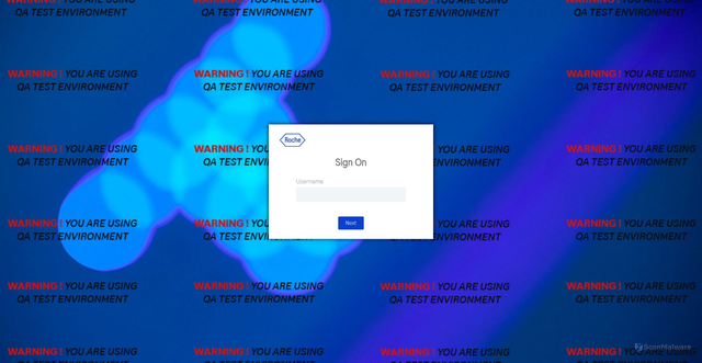 Security scan screenshot of https://test.dexips.roche.com