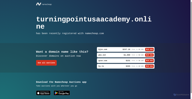 Security scan screenshot of http://turningpointusaacademy.online/