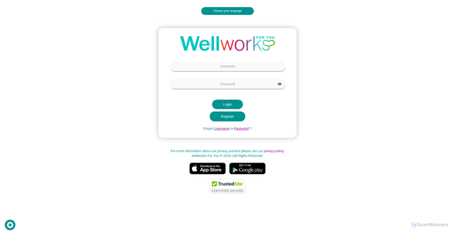 Security scan screenshot of https://wellworksforyoulogin.com