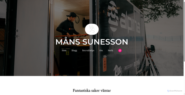 Security scan screenshot of https://sellnassport.se