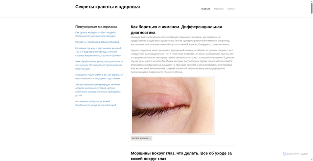 Security scan screenshot of https://pohudeymax.ru
